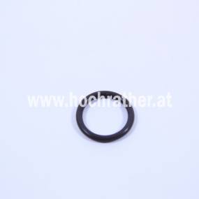 O-Ring (1397 750110)  Case